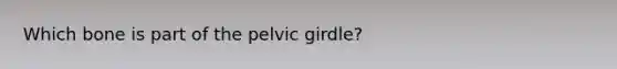 Which bone is part of the pelvic girdle?