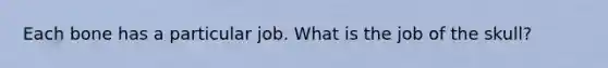 Each bone has a particular job. What is the job of the skull?