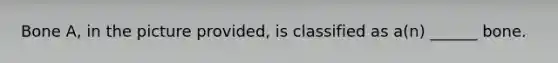 Bone A, in the picture provided, is classified as a(n) ______ bone.