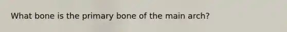 What bone is the primary bone of the main arch?