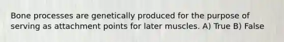 Bone processes are genetically produced for the purpose of serving as attachment points for later muscles. A) True B) False