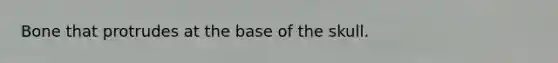 Bone that protrudes at the base of the skull.