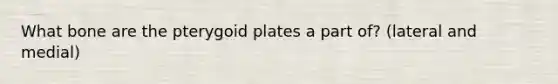 What bone are the pterygoid plates a part of? (lateral and medial)