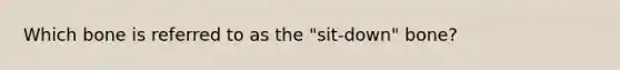 Which bone is referred to as the "sit-down" bone?