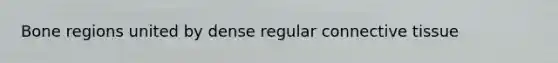 Bone regions united by dense regular <a href='https://www.questionai.com/knowledge/kYDr0DHyc8-connective-tissue' class='anchor-knowledge'>connective tissue</a>
