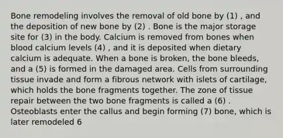 Bone remodeling involves the removal of old bone by (1) , and the deposition of new bone by (2) . Bone is the major storage site for (3) in the body. Calcium is removed from bones when blood calcium levels (4) , and it is deposited when dietary calcium is adequate. When a bone is broken, the bone bleeds, and a (5) is formed in the damaged area. Cells from surrounding tissue invade and form a fibrous network with islets of cartilage, which holds the bone fragments together. The zone of tissue repair between the two bone fragments is called a (6) . Osteoblasts enter the callus and begin forming (7) bone, which is later remodeled 6