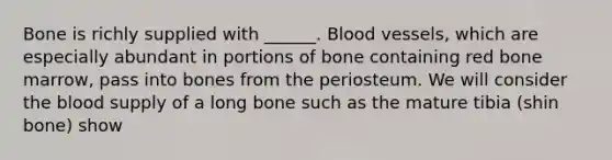 Bone is richly supplied with ______. Blood vessels, which are especially abundant in portions of bone containing red bone marrow, pass into bones from the periosteum. We will consider the blood supply of a long bone such as the mature tibia (shin bone) show