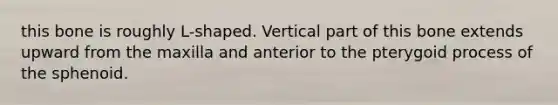 this bone is roughly L-shaped. Vertical part of this bone extends upward from the maxilla and anterior to the pterygoid process of the sphenoid.