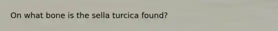 On what bone is the sella turcica found?