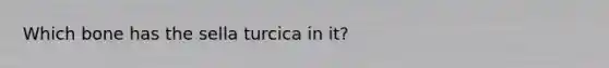 Which bone has the sella turcica in it?