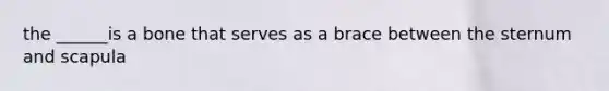 the ______is a bone that serves as a brace between the sternum and scapula