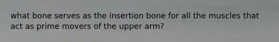 what bone serves as the insertion bone for all the muscles that act as prime movers of the upper arm?