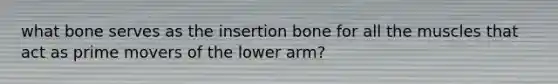 what bone serves as the insertion bone for all the muscles that act as prime movers of the lower arm?