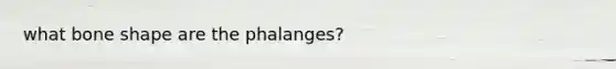 what bone shape are the phalanges?