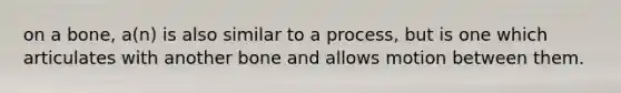 on a bone, a(n) is also similar to a process, but is one which articulates with another bone and allows motion between them.