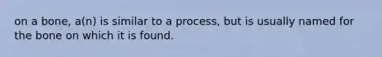 on a bone, a(n) is similar to a process, but is usually named for the bone on which it is found.