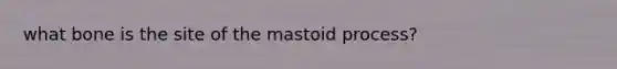 what bone is the site of the mastoid process?