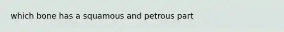 which bone has a squamous and petrous part