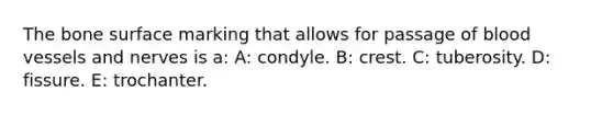 The bone surface marking that allows for passage of blood vessels and nerves is a: A: condyle. B: crest. C: tuberosity. D: fissure. E: trochanter.
