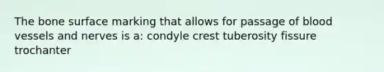 The bone surface marking that allows for passage of blood vessels and nerves is a: condyle crest tuberosity fissure trochanter