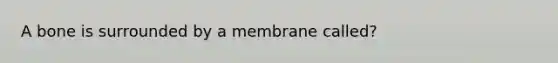 A bone is surrounded by a membrane called?