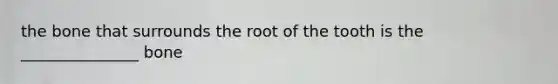 the bone that surrounds the root of the tooth is the _______________ bone