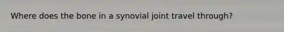 Where does the bone in a synovial joint travel through?