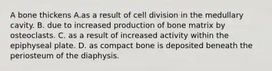 A bone thickens A.as a result of cell division in the medullary cavity. B. due to increased production of bone matrix by osteoclasts. C. as a result of increased activity within the epiphyseal plate. D. as compact bone is deposited beneath the periosteum of the diaphysis.