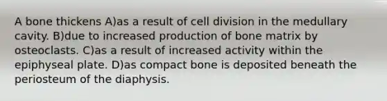 A bone thickens A)as a result of cell division in the medullary cavity. B)due to increased production of bone matrix by osteoclasts. C)as a result of increased activity within the epiphyseal plate. D)as compact bone is deposited beneath the periosteum of the diaphysis.