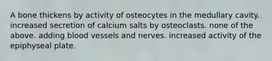 A bone thickens by activity of osteocytes in the medullary cavity. increased secretion of calcium salts by osteoclasts. none of the above. adding blood vessels and nerves. increased activity of the epiphyseal plate.