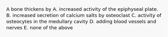 A bone thickens by A. increased activity of the epiphyseal plate. B. increased secretion of calcium salts by osteoclast C. activity of osteocytes in the medullary cavity D. adding blood vessels and nerves E. none of the above