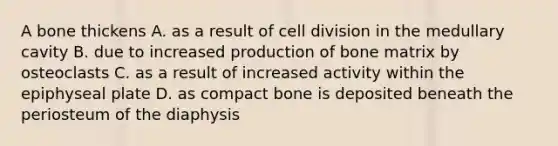 A bone thickens A. as a result of cell division in the medullary cavity B. due to increased production of bone matrix by osteoclasts C. as a result of increased activity within the epiphyseal plate D. as compact bone is deposited beneath the periosteum of the diaphysis