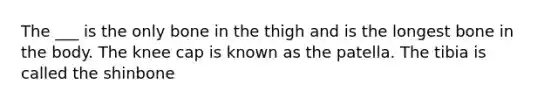 The ___ is the only bone in the thigh and is the longest bone in the body. The knee cap is known as the patella. The tibia is called the shinbone