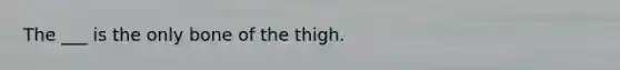 The ___ is the only bone of the thigh.