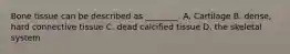 Bone tissue can be described as ________. A. Cartilage B. dense, hard connective tissue C. dead calcified tissue D. the skeletal system