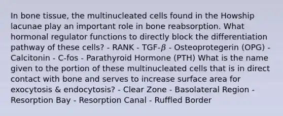 In bone tissue, the multinucleated cells found in the Howship lacunae play an important role in bone reabsorption. What hormonal regulator functions to directly block the differentiation pathway of these cells? - RANK - TGF-𝛽 - Osteoprotegerin (OPG) - Calcitonin - C-fos - Parathyroid Hormone (PTH) What is the name given to the portion of these multinucleated cells that is in direct contact with bone and serves to increase surface area for exocytosis & endocytosis? - Clear Zone - Basolateral Region - Resorption Bay - Resorption Canal - Ruffled Border