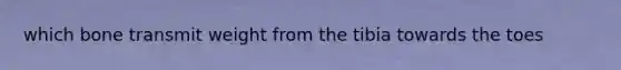which bone transmit weight from the tibia towards the toes