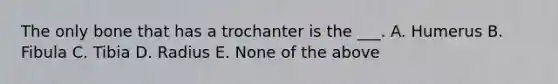 The only bone that has a trochanter is the ___. A. Humerus B. Fibula C. Tibia D. Radius E. None of the above