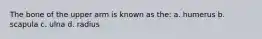 The bone of the upper arm is known as the: a. humerus b. scapula c. ulna d. radius