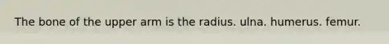 The bone of the upper arm is the radius. ulna. humerus. femur.