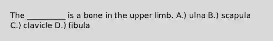 The __________ is a bone in the upper limb. A.) ulna B.) scapula C.) clavicle D.) fibula