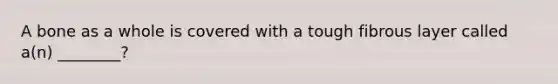 A bone as a whole is covered with a tough fibrous layer called a(n) ________?