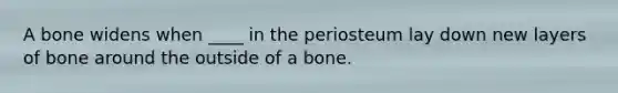 A bone widens when ____ in the periosteum lay down new layers of bone around the outside of a bone.