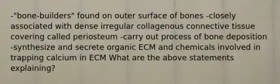 -"bone-builders" found on outer surface of bones -closely associated with dense irregular collagenous connective tissue covering called periosteum -carry out process of bone deposition -synthesize and secrete organic ECM and chemicals involved in trapping calcium in ECM What are the above statements explaining?