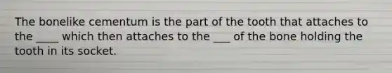 The bonelike cementum is the part of the tooth that attaches to the ____ which then attaches to the ___ of the bone holding the tooth in its socket.