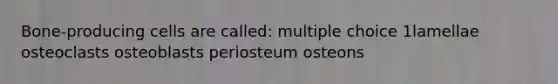 Bone-producing cells are called: multiple choice 1lamellae osteoclasts osteoblasts periosteum osteons