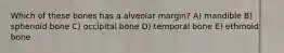 Which of these bones has a alveolar margin? A) mandible B) sphenoid bone C) occipital bone D) temporal bone E) ethmoid bone