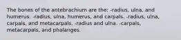 The bones of the antebrachium are the: -radius, ulna, and humerus. -radius, ulna, humerus, and carpals. -radius, ulna, carpals, and metacarpals. -radius and ulna. -carpals, metacarpals, and phalanges.