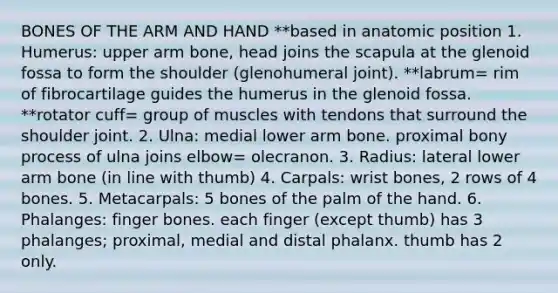 BONES OF THE ARM AND HAND **based in anatomic position 1. Humerus: upper arm bone, head joins the scapula at the glenoid fossa to form the shoulder (glenohumeral joint). **labrum= rim of fibrocartilage guides the humerus in the glenoid fossa. **rotator cuff= group of muscles with tendons that surround the shoulder joint. 2. Ulna: medial lower arm bone. proximal bony process of ulna joins elbow= olecranon. 3. Radius: lateral lower arm bone (in line with thumb) 4. Carpals: wrist bones, 2 rows of 4 bones. 5. Metacarpals: 5 bones of the palm of the hand. 6. Phalanges: finger bones. each finger (except thumb) has 3 phalanges; proximal, medial and distal phalanx. thumb has 2 only.