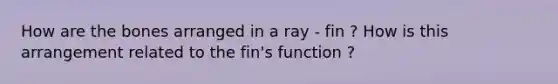 How are the bones arranged in a ray - fin ? How is this arrangement related to the fin's function ?